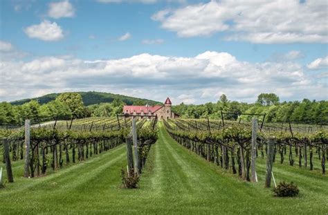 13 Top Charlottesville Wineries to Visit | Charlottesville wineries, Virginia wine country ...