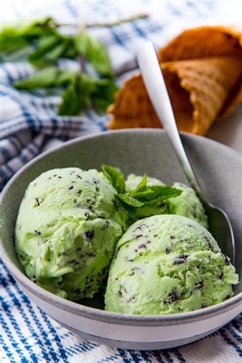The Best Mint Chocolate Chip Ice Cream - The Flavor Bender