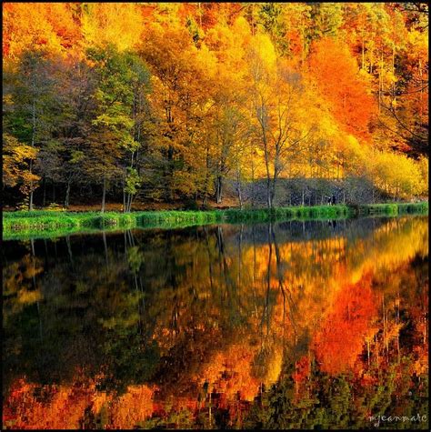 26 best Autumn in France images on Pinterest | Autumn colours, Autumn ...