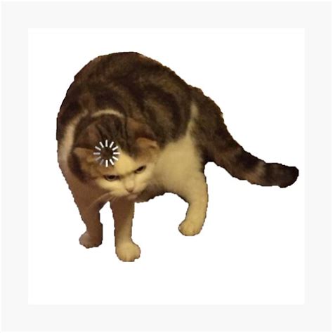 "Loading Cat Meme | Funny Meme" Photographic Print for Sale by ...