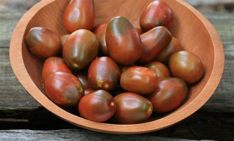 Black Plum Paste/ Processing Tomato, 0.16 g : Southern Exposure Seed Exchange, Saving the Past ...