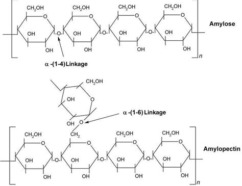 Amylose and amylopectin chemical structure [39]. | Download Scientific ...