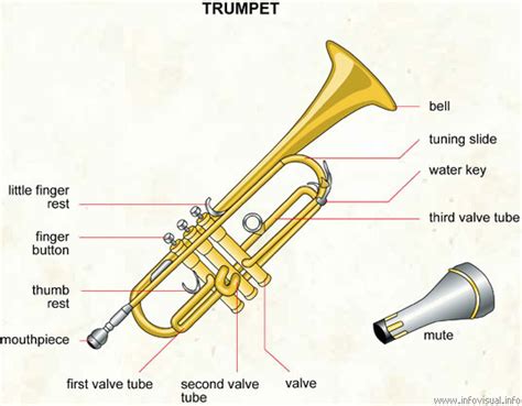 Trumpet Lessons For Beginners