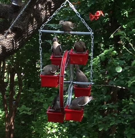 Ferris Wheel bird feeder 20 diameter 15 by NaturesWindowShop