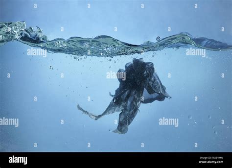 Pollution problem - plastic bag in the ocean Stock Photo - Alamy