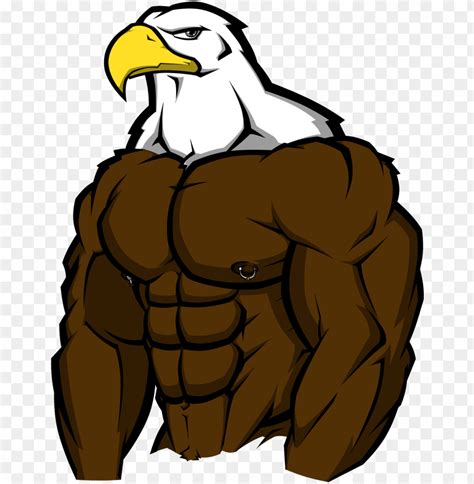 Muscle Bird Of Prey By Wolfoxokamichan - Buff Eagle PNG Transparent With Clear Background ID ...