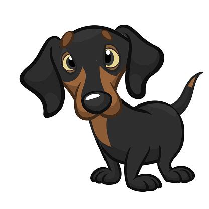 Cartoon Cute Dachshund Dog Vector Illustration Stock Illustration - Download Image Now - iStock