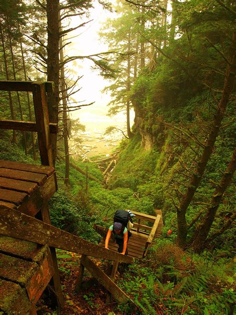 West Coast trail ladders | The ladder countdown is nearing i… | Flickr