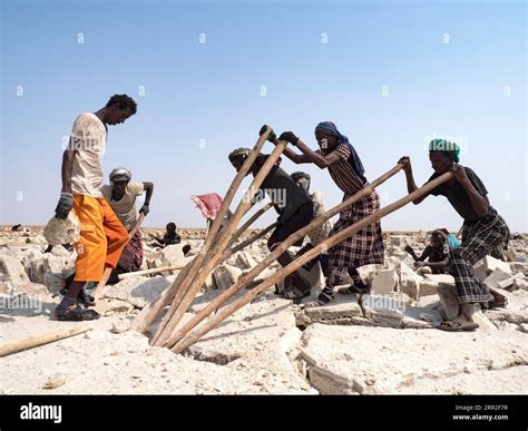 Salt extraction, workers mining salt, Dallol, Danakil Desert, Ethiopia ...