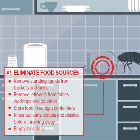 How to prevent cockroaches | Rentokil