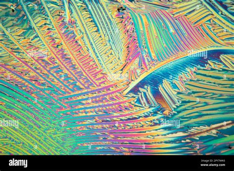 citric acid crystals in polarized light under the microscope Stock Photo - Alamy