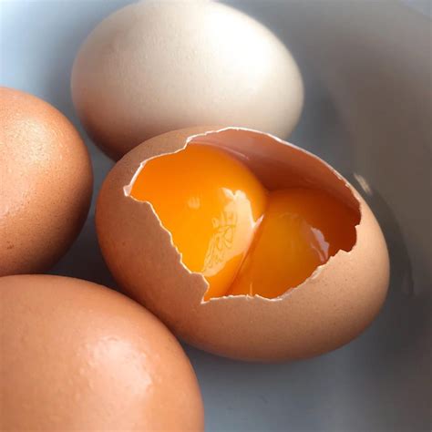 3 Things You Didn't Know About Double Yolks - Vital Farms