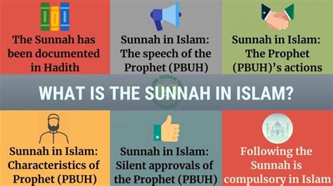 Importance and significance of the Sunnah in Islam | Quran For kids