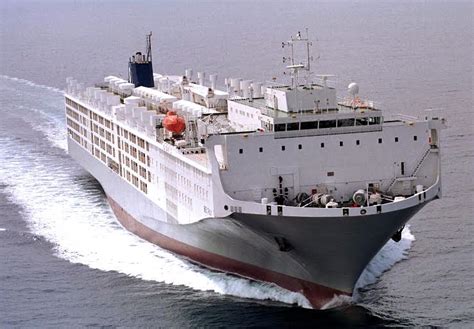 Fastest live export ship to give sheep exporter cattle options - Sheep ...