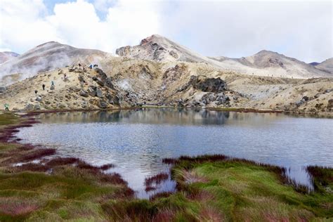 The 4 Mythical Hiking Trails of the North Island, New Zealand