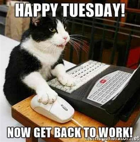 101 Funny Tuesday Memes When You're Happy You Survived a Workday