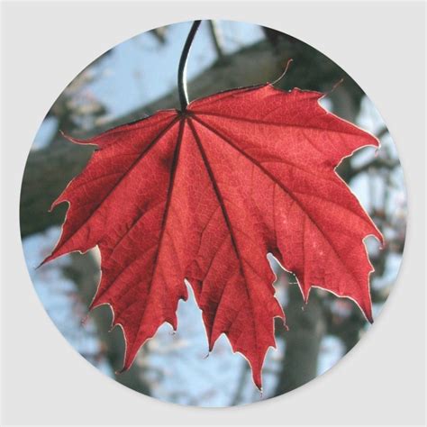 Canadian maple leaf round stickers custom stickers make your own ...