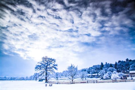 Oil Painting Winter Landscape Free Stock Photo - Public Domain Pictures