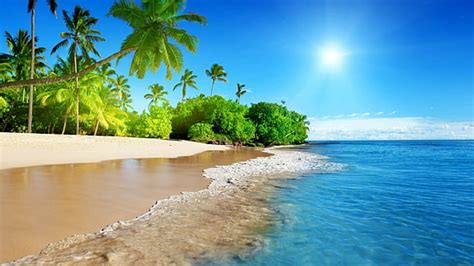 Online crop | HD wallpaper: ocean boat tropical windows xp islands palm trees skyscapes 1280x960 ...