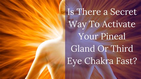 pineal gland activation symptoms Archives - Creating a Place To "Re-Member"