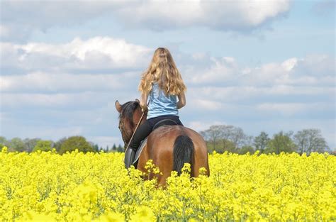 HORSE TRAIL RIDING TIPS – Equestroom