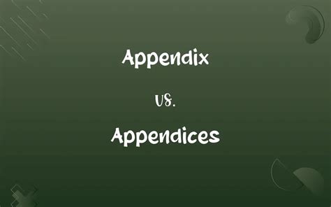 Appendix vs. Appendices: Know the Difference