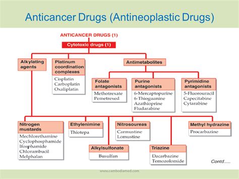 CLASSIFICATIONS