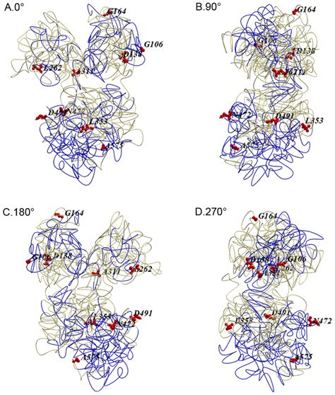 Three-dimensional structure of human transferrin proteins. Images... | Download Scientific Diagram