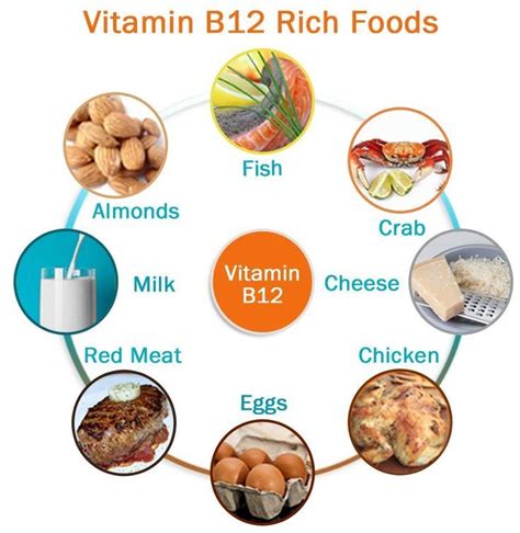 Vitamin B12 Rich Foods - FOODHUYA