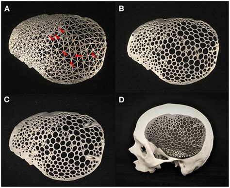 Frontiers | Design and Additive Manufacturing of a Biomimetic ...