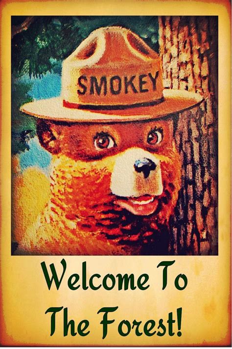 SMOKEY BEAR POSTER 24 X 36 Inch Welcome to forest by mjbocanegra