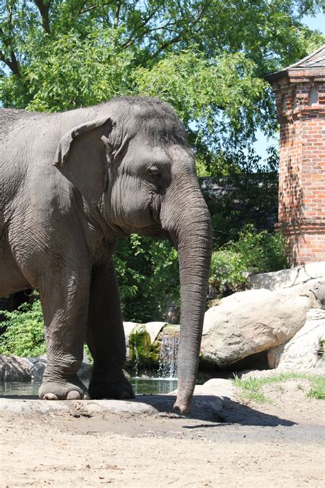 The Robertson Family: New Orleans Zoo