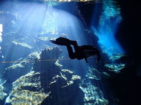 All About Cave Diving | Cave Diving in Riviera Maya-Guided Cenote Diving