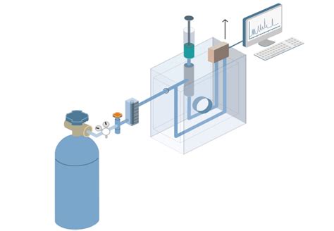 Introduction to Gas Chromatography—Principles, Characteristics, and Process - Creative ...