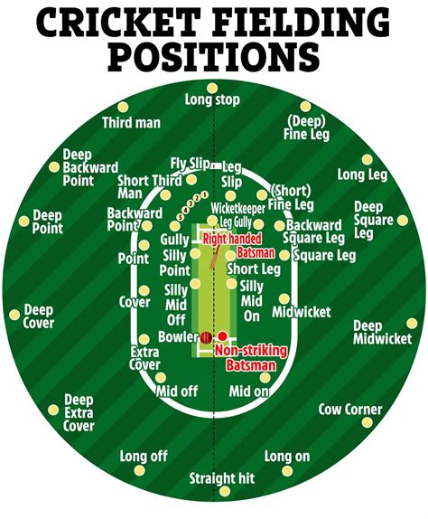 The most popular and least-known positions in cricket fielding.