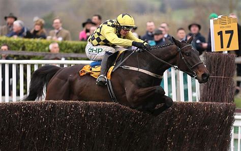 Gold Cup Winners & Results | Cheltenham Racecourse