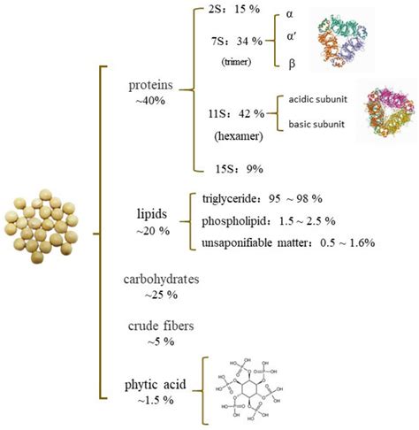 Soybean Protein Structure