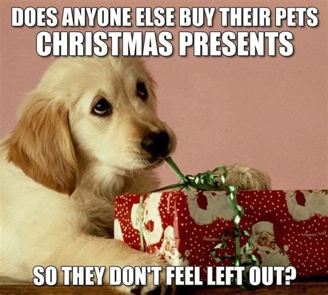 Dog christmas presents image by Tia Lissie on Puppy Love | Pet ...