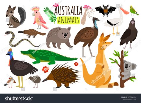 Australian Animals Vector Animal Icons Australia Stock Vector (Royalty ...