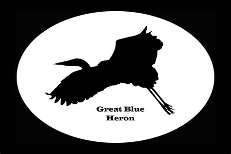 Flying Great Blue Heron Silhouette - White Digital Art by Dennis Lundell - Pixels