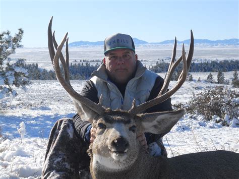 Trophy Deer & Elk Hunting in Montana | Armells Creek Outfitters