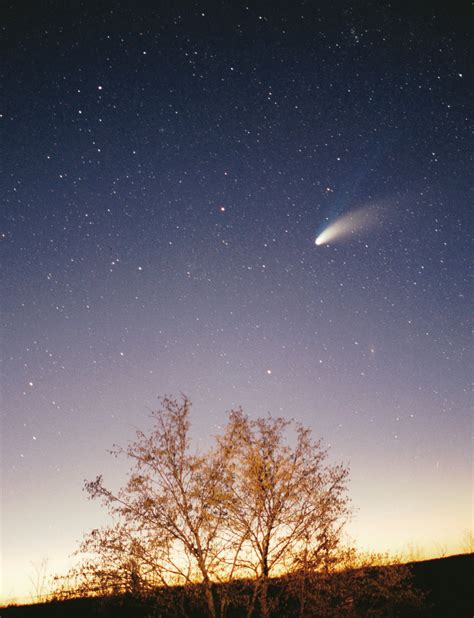 File:Comet-Hale-Bopp-29-03-1997 hires adj.jpg - Wikipedia, the free ...