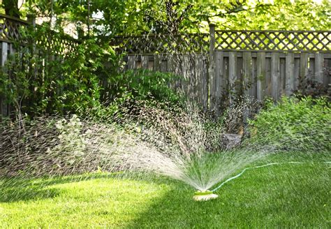 When To Cut Grass After Overseeding - A Green Hand