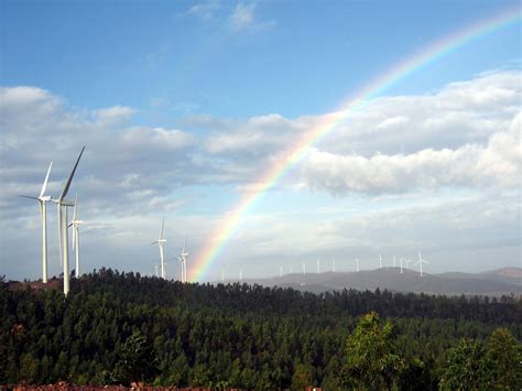 Iberdrola and HEINEKEN sign a partnership that will allow the company brew its beers using only ...