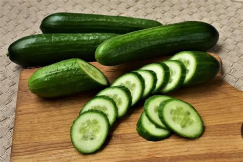 22 Different Types of Cucumbers – PopOptiq