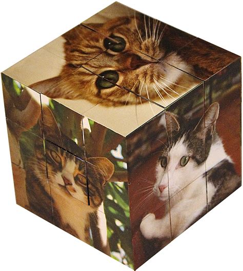 Pin by Checkered Chimp on Cat Puzzles | Puzzle piece crafts, Unique puzzles, Cat puns