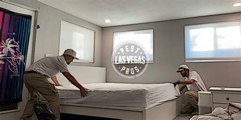 Pest Pros Las Vegas - Exterminator