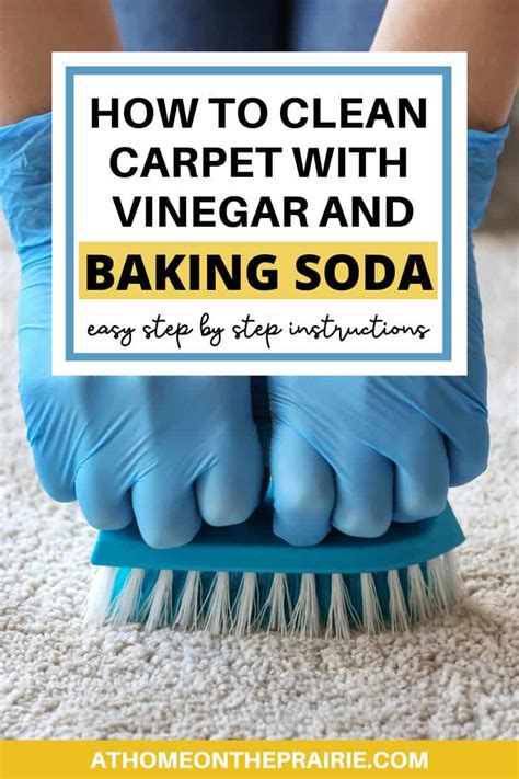 White Vinegar And Water To Clean Carpet Stains With Baking Soda | www ...