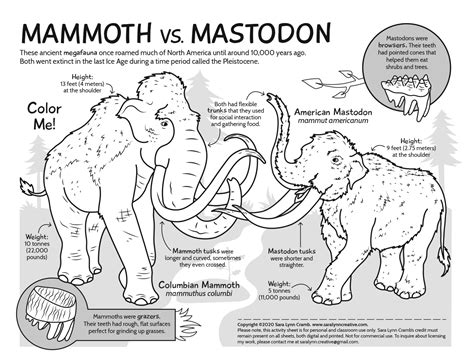 Mastodon Vs Mammoth Drawings