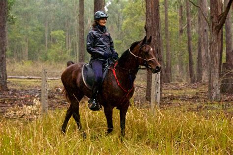 Endurance Ride With Valentino | Southern Cross Horse Treks Australia ...